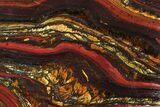 Polished Tiger Iron Stromatolite - ( Billion Years) #96221-1